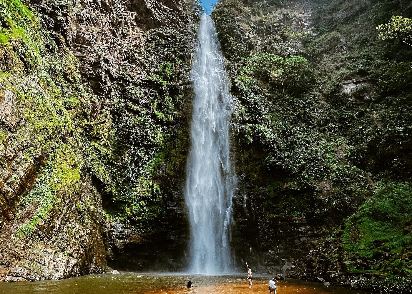 Monkeys & Mist: Wli Falls Adventure